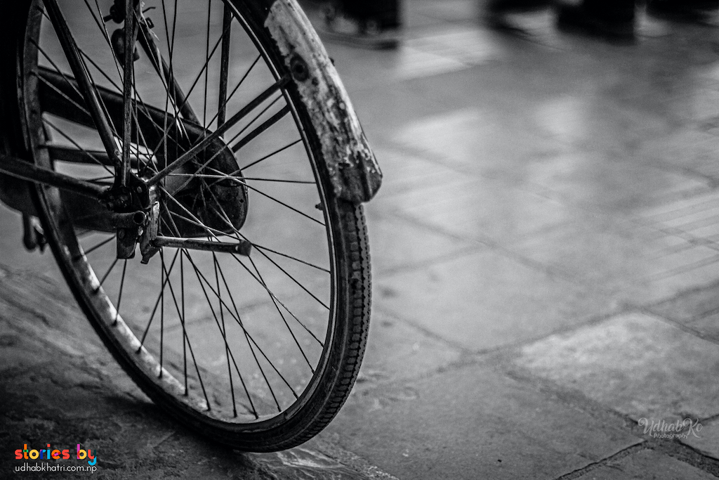 Bicycle Chronicles
