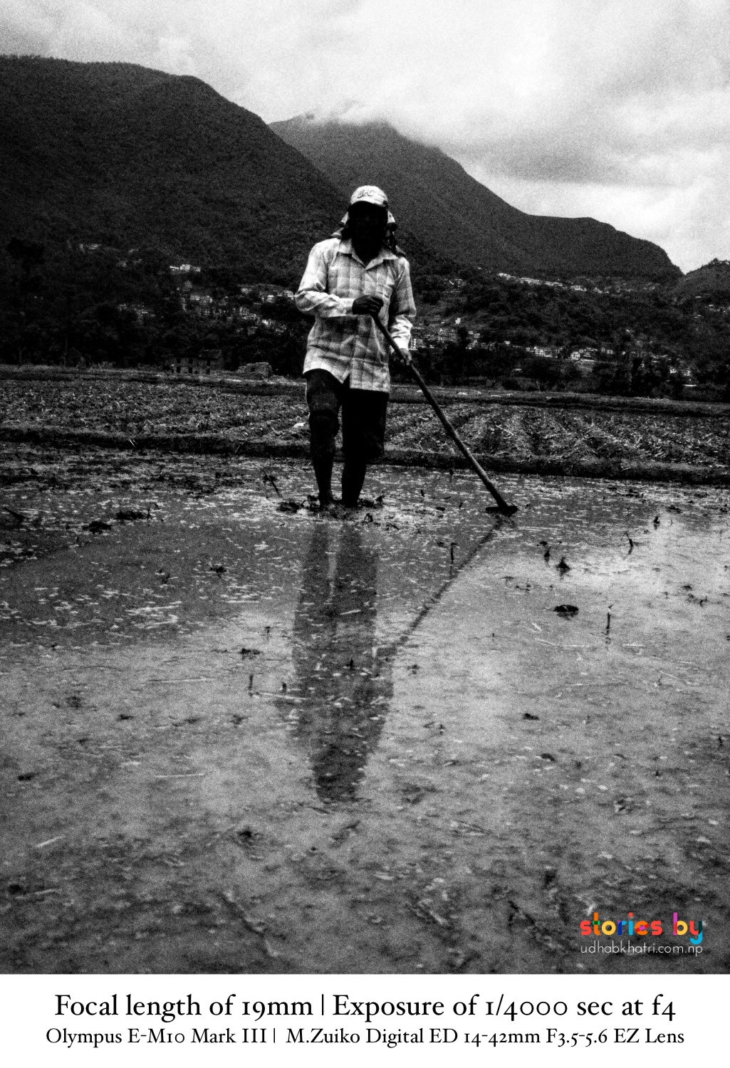 Traditional Nepali rice planting portrait