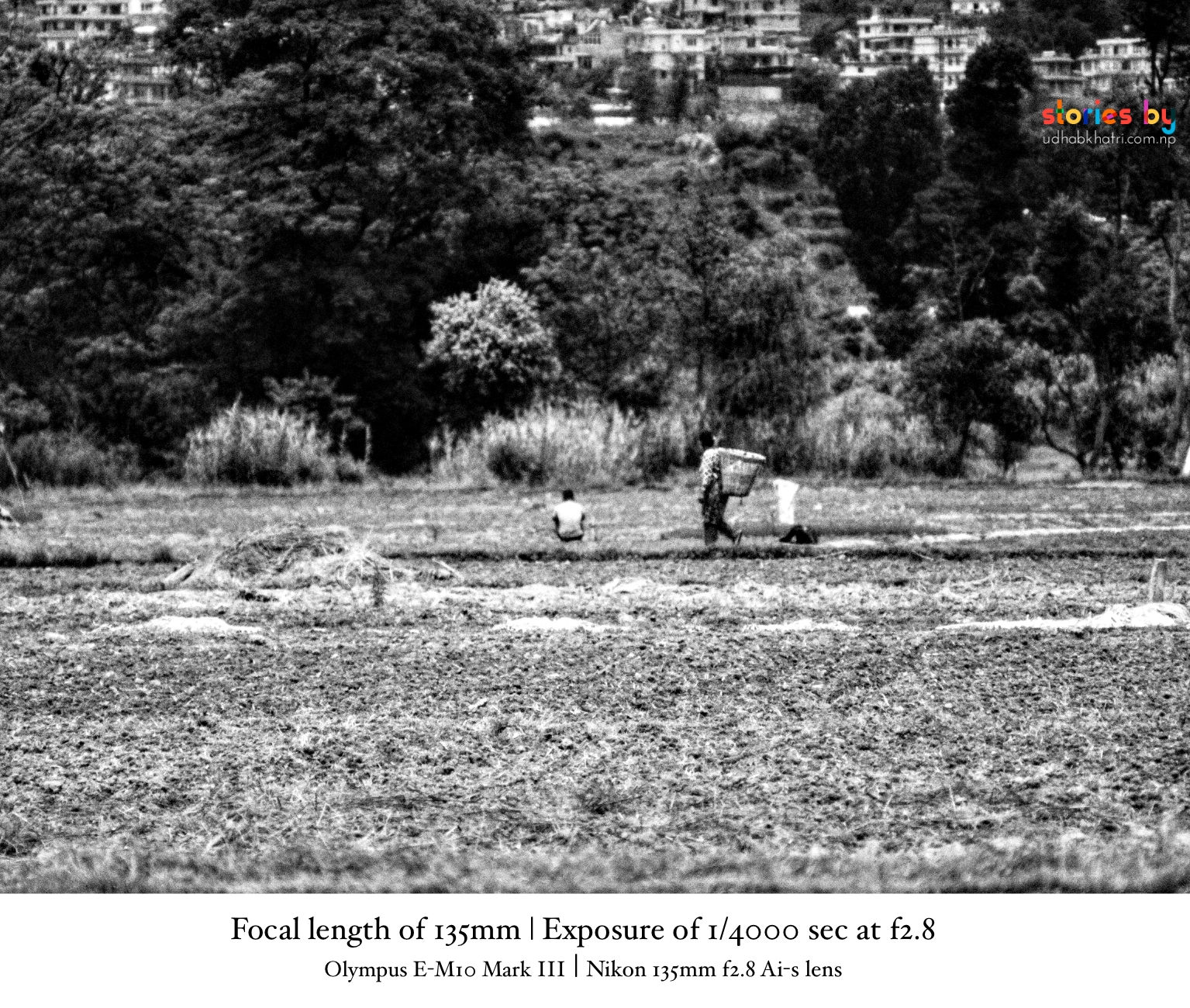 Rice planting celebration in Nepal