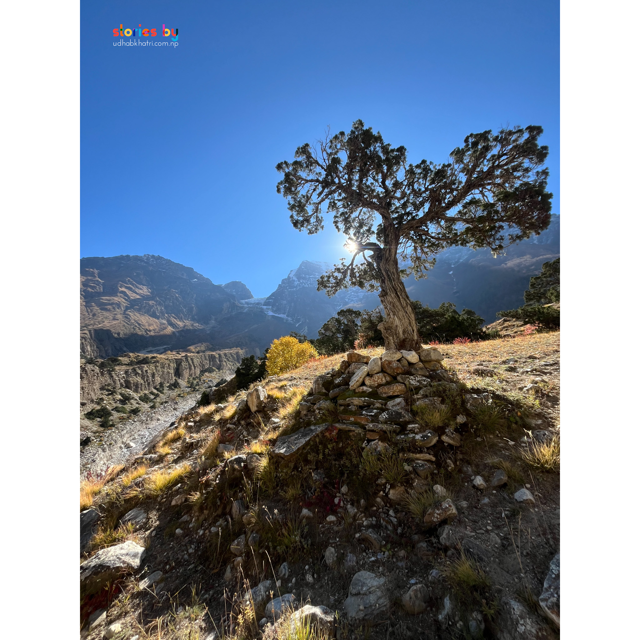 Narphu