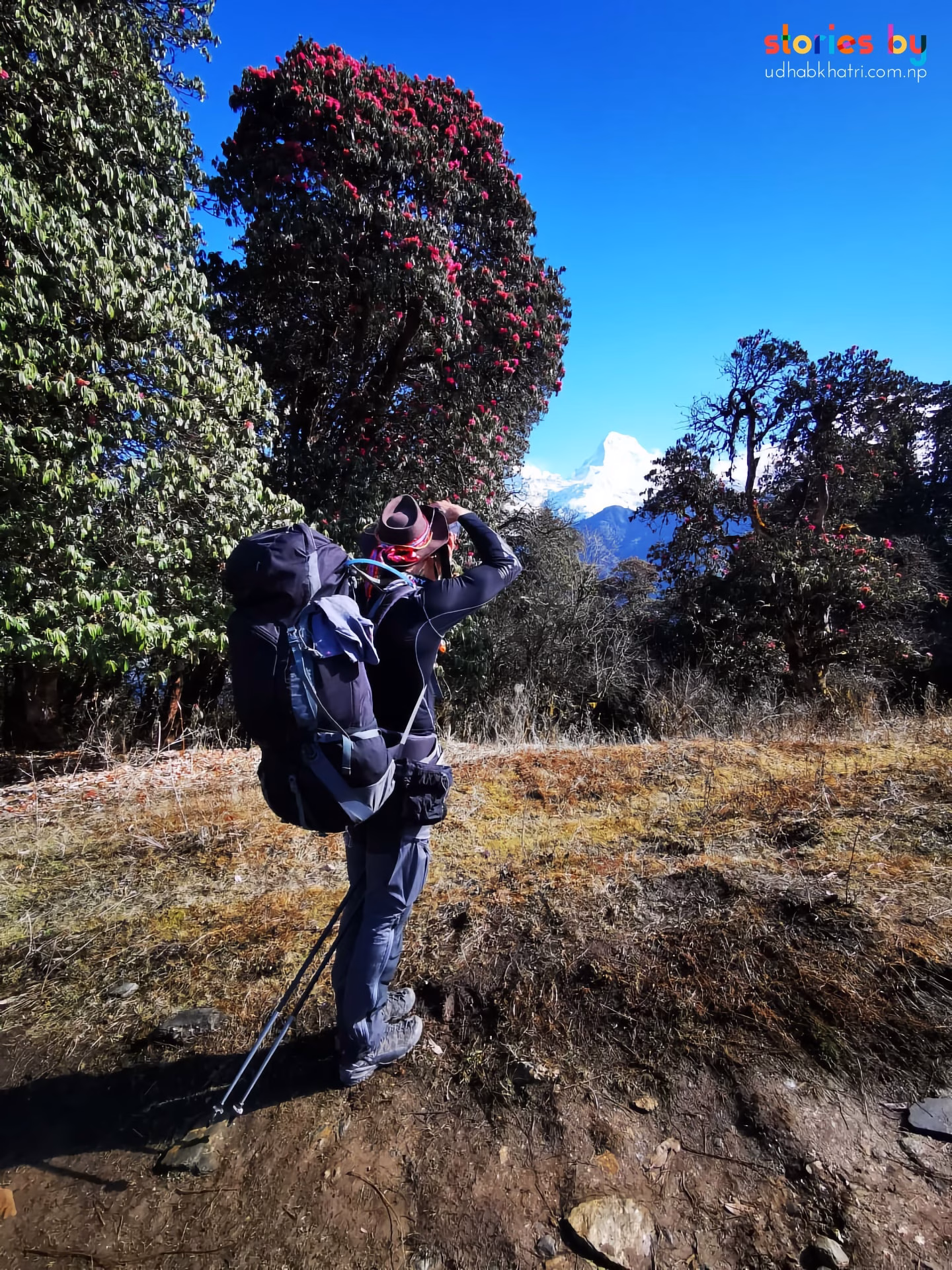 Mardi Trek