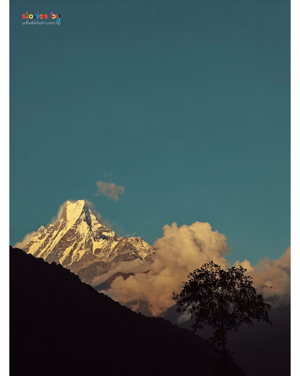 Mardi Trek