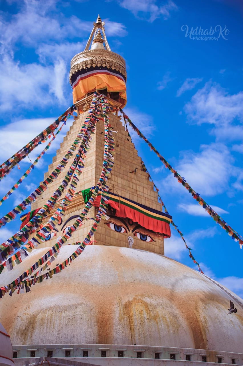 Tibetan elder