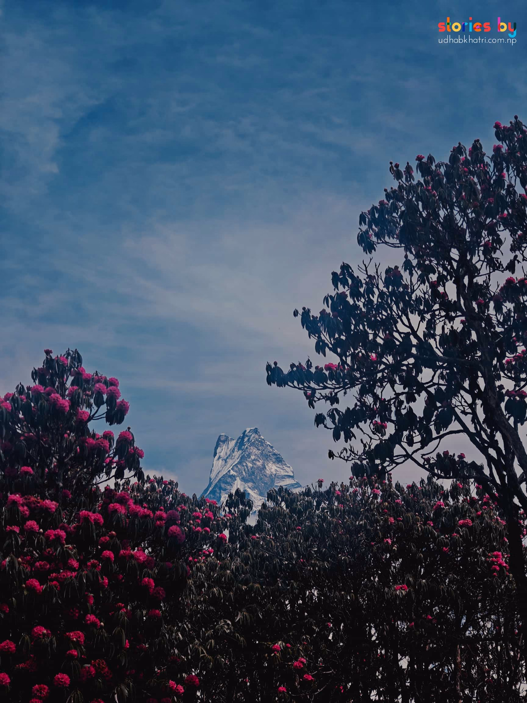 Mardi Himal