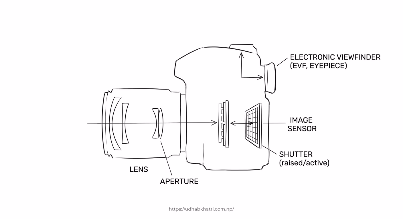 Mirrorless camera cross-section diagram