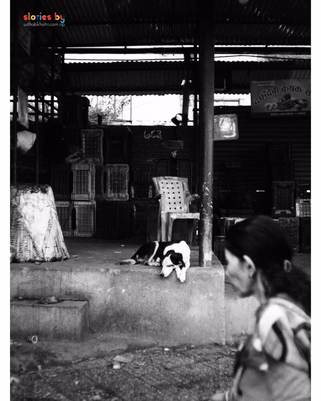 learn street photography kathmandu nepal